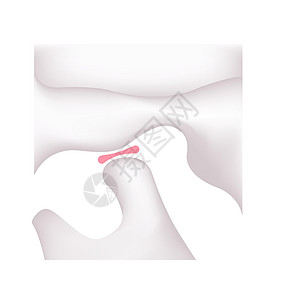 下颌人类下巴结构图(开放)设计图片