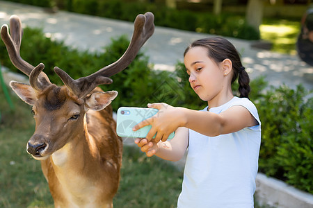 激动人心的经历 可爱的小女孩在动物园里与家人共度美好时光时 一边看着和抚摸着斑驳的小鹿一边吃着食物 国家公园 动物女孩栅栏女士成图片