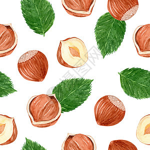 白色背景的水彩桃无缝图案坚果核心插图种子手绘森林纺织品绘画织物收成图片