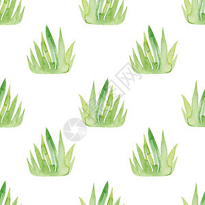 白色背景的绿草无缝图案 水色绿色图片