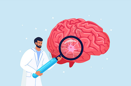 拿着有神经细胞的放大镜的科学家或医生 诊断和大脑研究 化学实验 心理学和神经学 关于老年痴呆症 痴呆症的医师教学图片