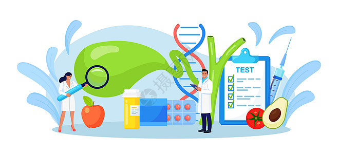 胆囊 医生治疗胆结石 胃肠病学家医生检查胆囊 胆道运动障碍问题 胆囊炎实验室研究 医疗保健 医学研究外科临床生物学疾病病理测试代图片