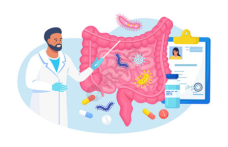 肠道微生物 友好植物群 胃肠道微生物 抽象消化胃活生物体以促进健康生活 检查胃肠道 肠 消化系统 肠的医生图片