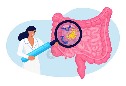 医生用放大镜检查胃肠道 肠道 消化系统 肠道炎症 肠炎 结肠炎 菌群失调 肠道健康 肠道微生物和友好菌群器官病菌产品植物群诊断药图片