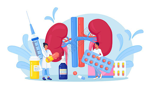 做医学研究 检查 健康检查的小医生 药物治疗肾病 肾脏科 泌尿科 诊断肾盂肾炎 肾结石 肾功能衰竭 膀胱炎图片