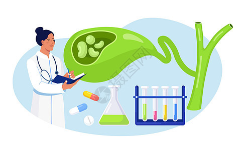 胆囊结石 胃肠病学家医生检查胆囊 医生治疗胆结石 胆道运动障碍问题 胆囊炎实验室研究解剖学病理医院手术诊所外科损害胰腺疼痛癌症图片