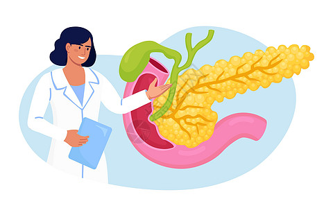 胰腺炎的概念 胃肠病学家诊断胰腺炎症 医生检查病人 消化系统疾病治疗 内脏癌内分泌药店葡萄糖解剖学胰腺药品功能科学器官食管图片