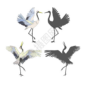 飞行中的野鸟 自然界或天空中的动物 鹤或鹤和鹳或 shadoof 和带翅膀的 Ciconia 雕刻素描手绘复古风格阴影自由插图白图片