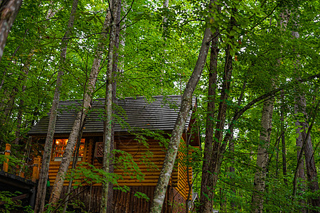 林中站立的Lodge图像财富九兆长廊森林森林浴小屋图片