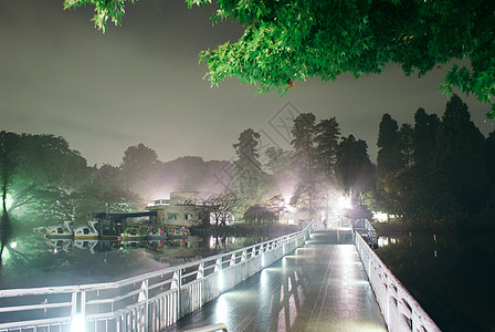 由雾中包裹的朴仁冈一郎晨苔公园黑雾植物木头绿色池塘景色树木森林图片