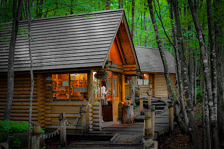 林中站立的Lodge图像森林九兆财富森林浴小屋长廊图片