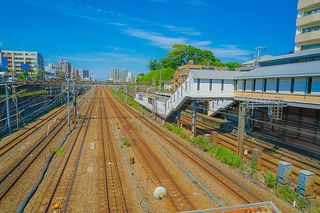 通往横滨站的线组城市车辆交通机车铁路蓝天绿色车站建筑群电力图片