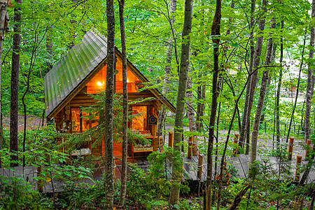 林中站立的Lodge图像森林浴小屋长廊财富九兆森林图片