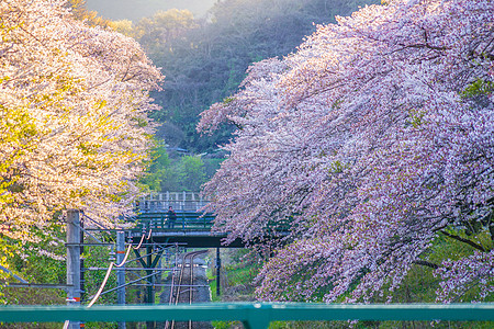 春山田站Kanagawa县电线杆车站机车交通景点单线天空旅行电线旅游图片