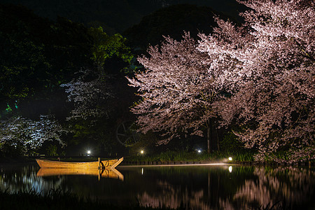 樱花三角夜胜利旅游反射池塘庭园财产花瓣花园景点风格图片