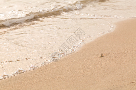 螃蟹沙滩海图片