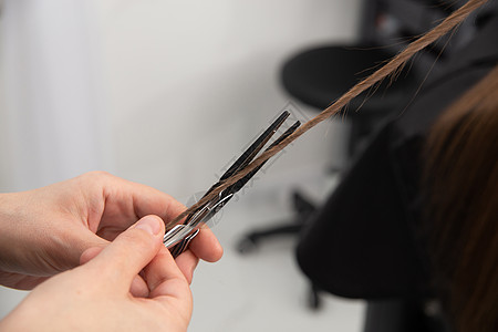 专业发型设计师拿着梳子和热热热剪刀 剪切长直发锁缝合女性美丽维修头发造型师工作服务女士发型工具图片