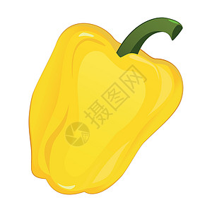 白色背景上现实的新鲜黄铃胡椒矢量植物绘画辣椒艺术厨房烹饪食物卡通片香料菜单图片