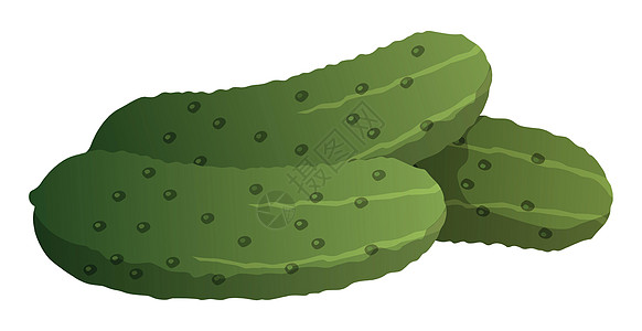 白色背景上现实的成熟的新黄瓜矢量烹饪插图花园绘画草图健康沙拉农业蔬菜农场图片
