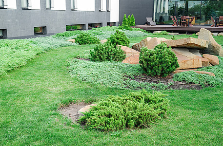 后院有景观美化草地牧场叶子椅子植物城市环境生长高尔夫球花园图片