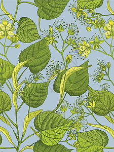菩提花手绘无缝图案 蓝色背景上有黄色和绿色的花朵 生命和树枝 复古复古图形设计植物素描图片