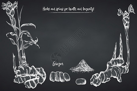 在黑板背景上用白色粉笔颜色设置手绘的姜根 生命和花朵 复古复古图形设计 植物素描 雕刻风格杯子药品排毒香料插图墨水叶子粉末草本植图片