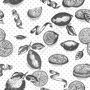 由姜树根 柠檬 生活和鲜花所绘制的无缝图案手法 黑色白色背景 变本加厉的图形设计 植物素描 雕刻风格香橼插图水果卡片蚀刻草药叶子图片