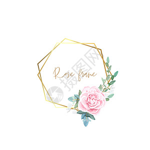 金框 上面有苍白的玫瑰 叶子和食用植物 现代最小矢量设计框架广告桉树卡片金子婚礼生日六边形乡村标签图片