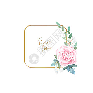 金框 上面有苍白的玫瑰 叶子和食用植物 现代最小矢量设计正方形广告卡片打印作品桉树新娘邀请函婚礼金子图片