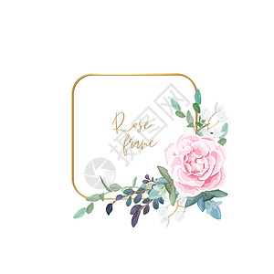 金框 上面有苍白的玫瑰 叶子和食用植物 现代最小矢量设计婚礼生态正方形横幅广告打印桉树乡村花束生日图片