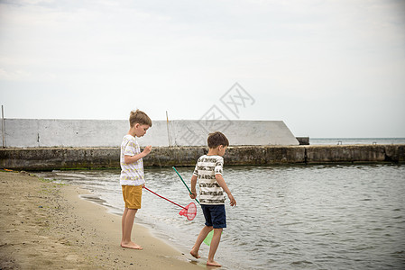 两个兄弟男孩在低潮下 探索海滩的海边男性家庭喜悦文化活动旅行闲暇热带环境钓鱼图片