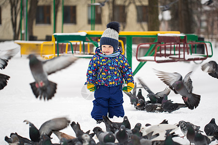 小漂亮男孩在冬雪公园的户外喂鸟图片