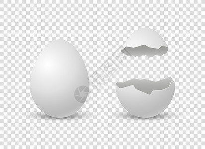 岩石蛋 裂开蛋壳 矢量现实的白贝壳 在透明的背景卡通片装饰品插图标识孵化器风格烹饪礼物裂缝兔子图片