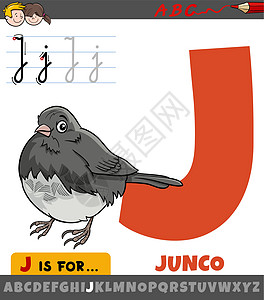 字母 J 从字母字母J 用卡通狂犬鸟鸟类的动物性图片