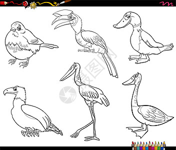 卡通动物人物设置着色书 pag野生动物卡通片军科收藏填色动物园白头鹰快乐荒野爪子图片