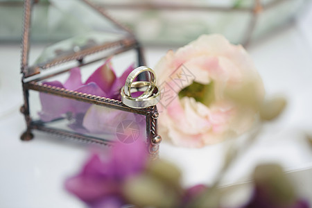 婚环装在玻璃盒子里 上面有玫瑰花瓣仪式新娘婚姻三角形婚礼水晶植物金子配饰金属图片