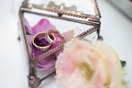 婚环装在玻璃盒子里 上面有玫瑰花瓣植物馆婚姻水晶风格花束庆典礼物棺材植物婚礼图片