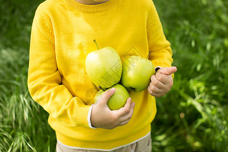 可爱的小男孩在阳光明媚的日子 在绿色草原上摘苹果 健康营养季节野餐园艺农业乐趣微笑园丁篮子国家婴儿图片