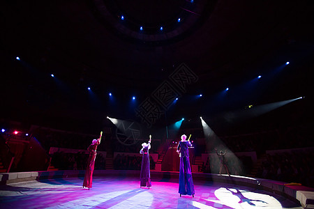 马戏团里的杂耍家 戴高跟鞋的小丑平衡魔术师生活展示艺术家女性女士竞技场男人体操图片