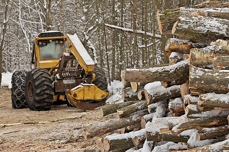 原木或伐木日志 带新收获和堆放木材原木的滑雪机木工人木头资源林业侵蚀机械森林燃料生态建筑图片
