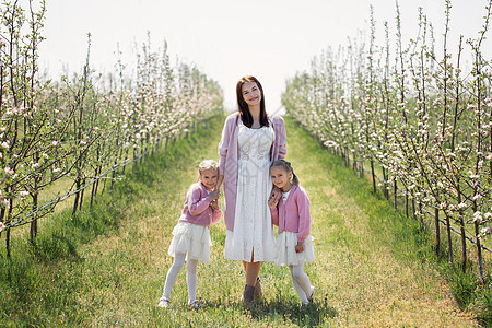 母亲和双胞胎女儿们手牵手 在春天走过盛开的苹果园母性孩子苹果树女士女性幸福公园姐姐家庭女孩背景图片