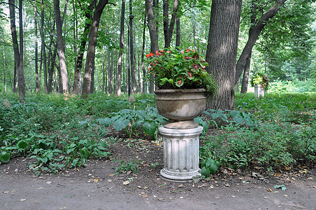 夏天公园里有花的石头花瓶城市森林公园衬套植物太阳地标建筑学射线历史图片