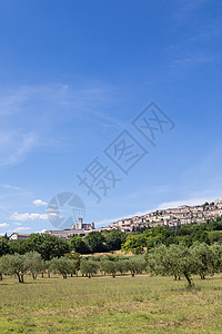 意大利翁布里亚地区阿西西村的橄榄树 该镇以意大利最重要的圣弗朗西斯圣弗朗西斯大教堂而闻名窗户街道旅行蓝色村庄宗教石头大教堂城市艺图片
