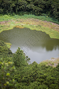 毛里求斯森林绿林和湖泊的火山岩壁壁炉图片