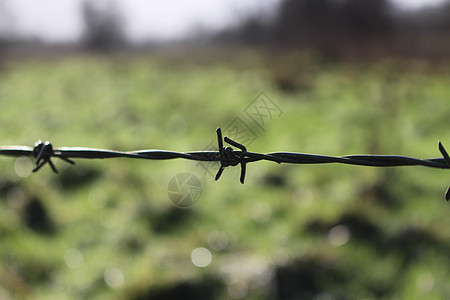 在一片模糊的草地前面 一条刺穿的铁丝网 就在春天清晨在英国汉普郡图片