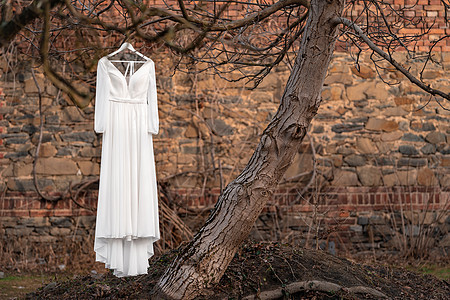 院子里一棵树上的白色婚礼礼服 背景是砖墙图片