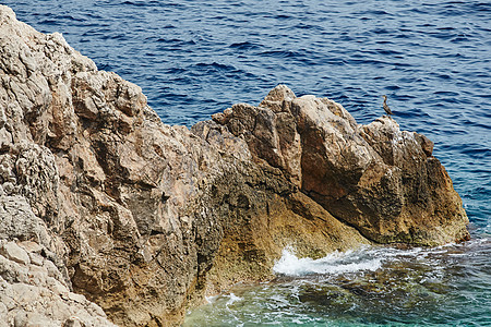 野生海鸟坐在摩纳哥附近地中海的一块岩石上 洋蓝色水海鸥野生动物场景动物海洋羽毛翅膀海岸支撑天空图片