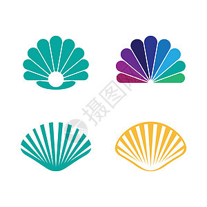 Shell 徽标插图蜗牛装饰品奢华海滩食物美食贝类配饰扇贝牡蛎图片