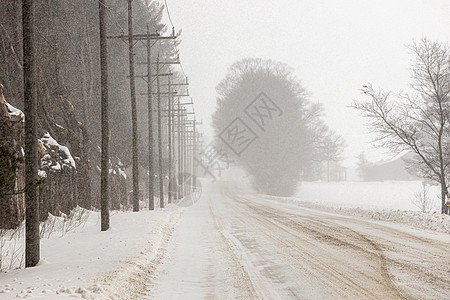 加拿大安大略省一条乡村公路上的  雪壳  条件危险探索季节森林雪堆环境曲目风暴地平线雪花图片