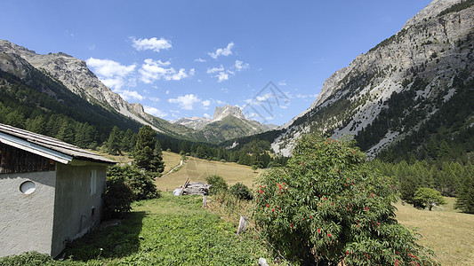 位于的城镇和避难地房子村庄风景尾叶山脉松树禁忌森林岩石化学图片